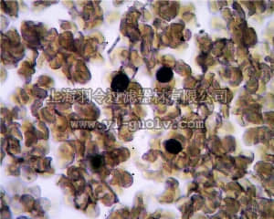 merck millipore,默克密理博,MABF96,Anti-TRAcP Antibody, clone 9C5