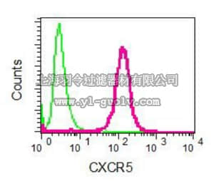 merck millipore,默克密理博,MABN1063,Anti-CXCR5, clone EPR8837 Rabbit Monoclonal Antibody