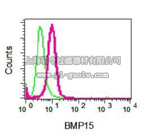merck millipore,默克密理博,MABN1074,Anti-BMP15, clone EPR5137, Rabbit Monoclonal Antibody