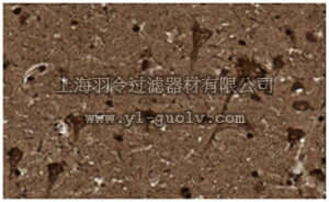 merck millipore,默克密理博,MABN471,Anti-Tau Antibody, PAD, clone TNT-1