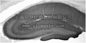 merck millipore,默克密理博,MABN492,Anti-GABA(B)R1 Protein Antibody, clone N93A/49