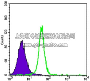 merck millipore,默克密理博,MABN689,Anti-ARHGDIA Antibody, clone 2G3
