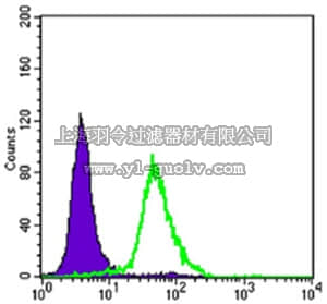 merck millipore,默克密理博,MABN695,Anti-CRTC2 Antibody, clone 5B10