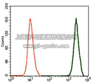 merck millipore,默克密理博,MABN707,Anti-DCX Antibody, clone 2G5