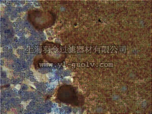 merck millipore,默克密理博,MABN70,Anti-Slo1 Antibody, clone L6/60