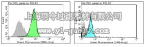 merck millipore,默克密理博,MABS460,Anti-FGF23 Antibody, clone 278-2