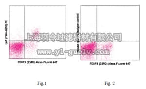merck millipore,默克密理博,MABS477,Anti-LAP (TGF-β1) Antibody, clone TW4-6H10