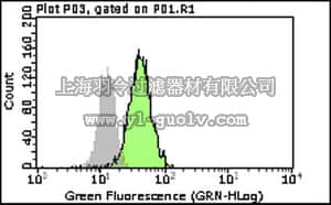 merck millipore,默克密理博,MABS63,Anti-phospho-PLCγ-1 (Tyr783) Antibody, clone 12F4.2