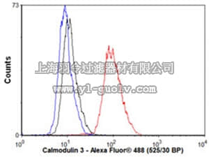 merck millipore,默克密理博,MABS749,Anti-Calmodulin, clone EPR5028, Rabbit Monoclonal Antibody