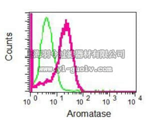 merck millipore,默克密理博,MABS750,Anti-Aromatase, clone EPR4534(2), Rabbit Monoclonal Antibody