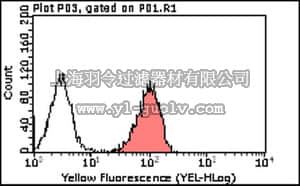 merck millipore,默克密理博,MABT117,Anti-Endoglin (CD105) Antibody, clone 44G4
