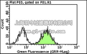 merck millipore,默克密理博,MABT128,Anti-JAM-A Antibody, clone BV11