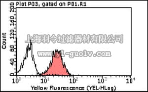 merck millipore,默克密理博,MABT18,Anti-Integrin alpha5 (CD49e) Antibody, clone MFR5 (5H10-27)