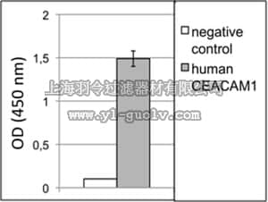 merck millipore,默克密理博,MABT397,Anti-CEACAM1/CD66a Antibody, clone B3-17