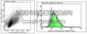 merck millipore,默克密理博,MABT414,Anti-Moesin Antibody, clone 38/87