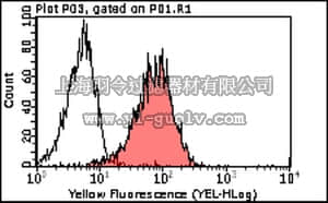 merck millipore,默克密理博,MABT42,Anti-Integrin beta-2 (CD18) Antibody, clone M18/2