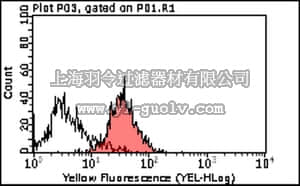 merck millipore,默克密理博,MABT44,Anti-ICAM-3 (CD50) Antibody, clone CBR-IC3/1