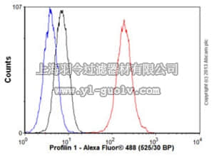 merck millipore,默克密理博,MABT500,Anti-Profilin-1, clone EPR6304, Rabbit Monoclonal Antibody