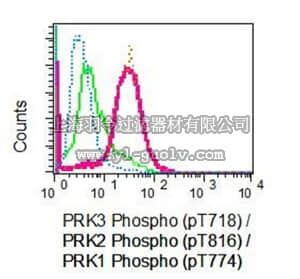 merck millipore,默克密理博,MABT502,Anti-phospho-PRK3/PRK2/PRK1 (Thr718/Thr816/Thr774), clone EPR5671, Rabbit Monoclonal Antibody