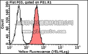 merck millipore,默克密理博,MABT59,Anti-human CD151 clone TS151 Antibody