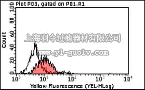 merck millipore,默克密理博,MABT61,Anti-Nectin-1/PVRL1 (CD111) Antibody, clone R1.302
