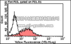 merck millipore,默克密理博,MABT62,Anti-Nectin-2/PVRL2 (CD112) Antibody, clone R2.525