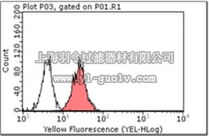 merck millipore,默克密理博,MABT63,Anti-Nectin-3/PVRL3 (CD113) Antibody, clone N3.12.4