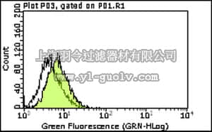 merck millipore,默克密理博,MABT81,Anti-JAM-C Antibody, clone H33 (azide free)