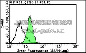 merck millipore,默克密理博,MABT82,Anti-JAM-C Antibody, clone H36
