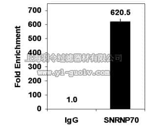 merck millipore,默克密理博,17-704,Magna RIP™ Quad RNA-Binding Protein Immunoprecipitation Kit