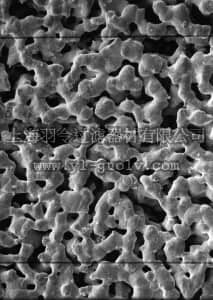 merck millipore,默克密理博,AG4502550,银膜，0.45 µm，25 mm