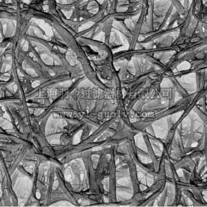 merck millipore,默克密理博,AP3212450,编织网格隔膜，涤纶，124 mm