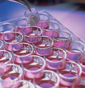 merck millipore,默克密理博,PIHA03050,Millicell 插入式细胞培养皿, 30 mm, HA 混合纤维数酯, 0.45 µm