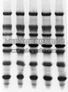 merck millipore,默克密理博,ISEQ20200,Immobilon-PSQ 方片膜，PVDF，0.2 µm，20 x 20 cm