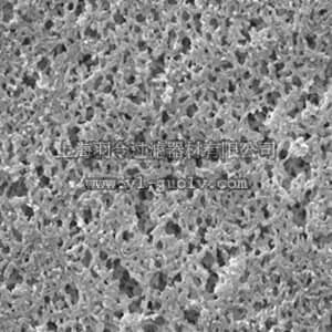 merck millipore,默克密理博,GNWP02500,尼龙表面滤膜，亲水，0.22 µm，25 mm，白色，光面