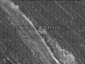 merck millipore,默克密理博,NE1013,Anti-PGP9.5 (176-191) Rabbit pAb