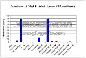 merck millipore,默克密理博,NS830,GFAP ELISA Kit