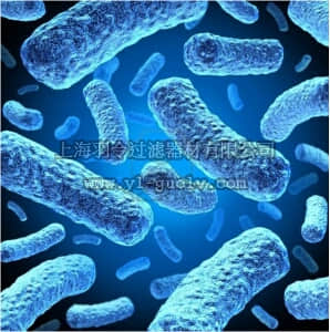 merck millipore,默克密理博,71403,Rosetta™ 2(DE3)pLysS Competent Cells - Novagen