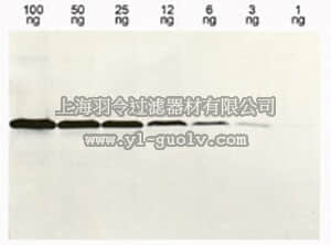 merck millipore,默克密理博,OB05,Anti-Histidine-Tagged Protein Mouse mAb (13/45/31/2)