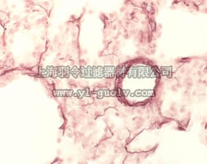 merck millipore,默克密理博,107100,地衣红色素