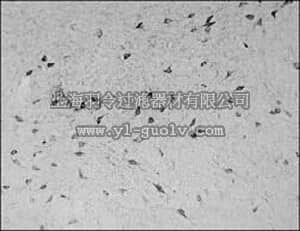 merck millipore,默克密理博,PC362,Anti-Orexin A (14-33) (Ab-2) Rabbit pAb