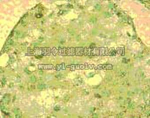 merck millipore,默克密理博,PC522,Anti-Adenine Nucleotide Translocase-1 (Ab-1) (2-11) Rabbit pAb