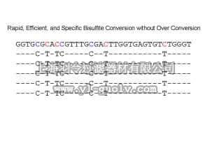 merck millipore,默克密理博,S7847,CpGenome Turbo Bisulfite Modification Kit