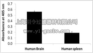 merck millipore,默克密理博,S8003,CpGenome™ 5-mC & 5-hmC Human DNA Standards