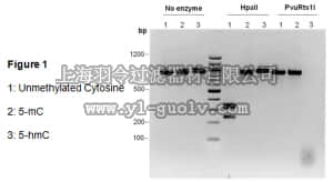 merck millipore,默克密理博,S8005,CpGenome™ 5-mC and 5-hmC DNA Standard Set