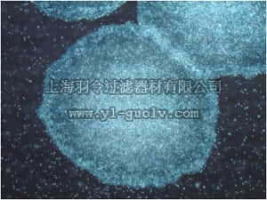 merck millipore,默克密理博,SCM134,PluriSTEM™ Freeze Medium