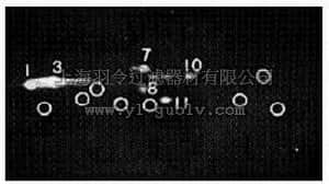 merck millipore,默克密理博,ST1049,Anti-20S Proteasome α1, 2, 3, 5, 6, & 7-Subunits Mouse mAb (MCP231)