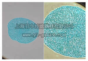 merck millipore,默克密理博,TMS-010-C,Alcian-Blue Staining Solution