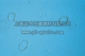 merck millipore,默克密理博,AB1510,Anti-Amyloid β Antibody, aa1-14 h β-amyloid