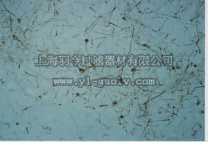 merck millipore,默克密理博,AB1560,Anti-Opioid Receptor Antibody, δ, pain, NT